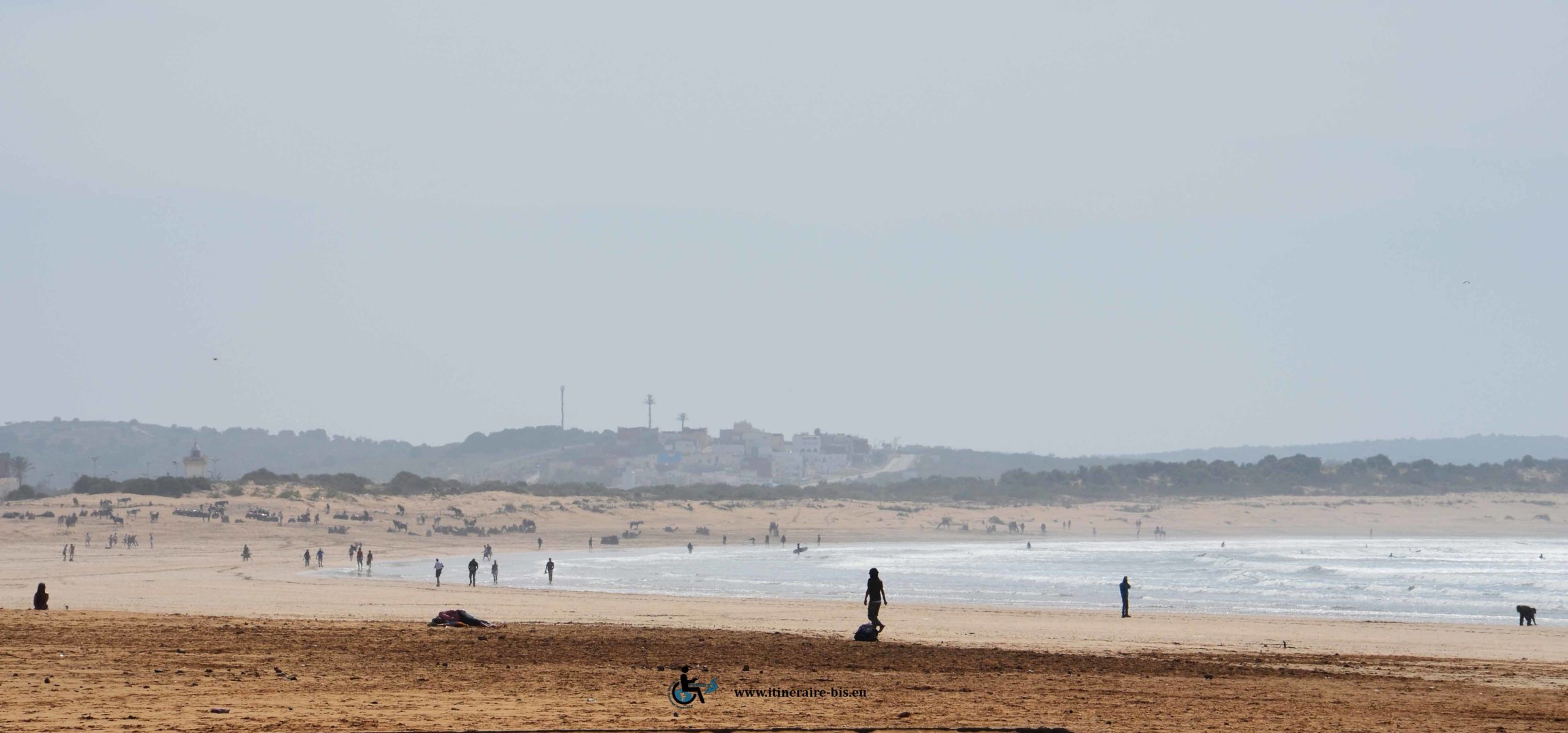 La plage s'étend d'Essaouira à Agadir sur de grandes étendus de sable comme sur la photographie.